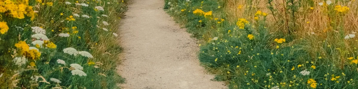 Chemin traversant une prairie fleurie, symbole du cheminement face à l'anxiété scolaire Chemin traversant une prairie fleurie, symbole du cheminement face à l'anxiété scolaire